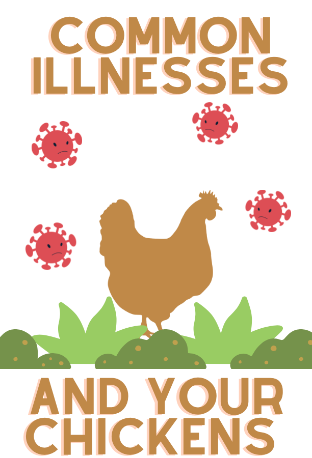 common chicken illnesses and symptoms