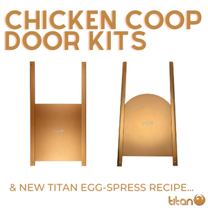 Titan Metal Doors & Egg-spress Recipe #2 🥚🍪