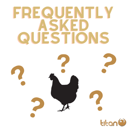 Your Frequently Asked Questions... Answered🐥🧐