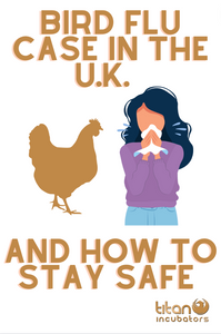 STAYING SAFE WITH BIRD FLU