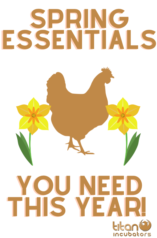 TEAM TITAN'S SPRING TIME ESSENTIALS