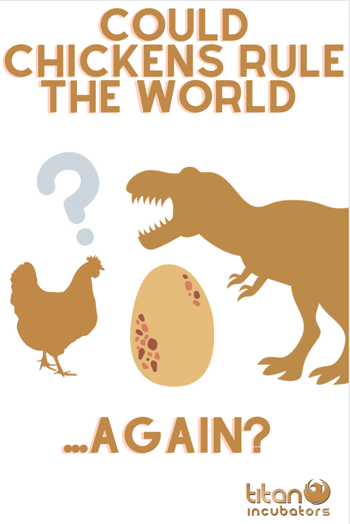 WILL CHICKENS EVER RULE THE WORLD AGAIN (...sort of)?