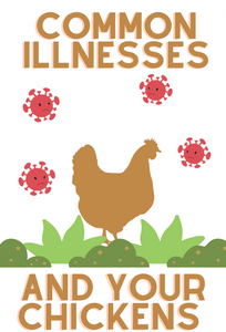 COMMON CHICKEN ILLNESSES