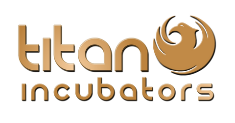 ACCESSORIES AND GUARANTEE